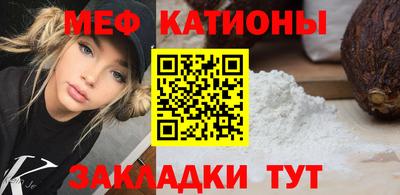 индика Камышлов