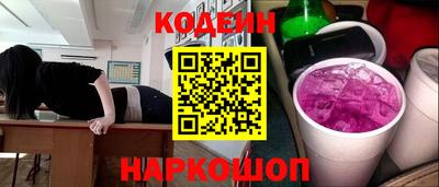 индика Камышлов