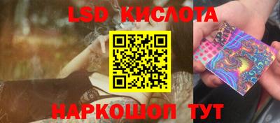 индика Камышлов