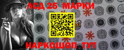 индика Камышлов