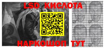индика Камышлов