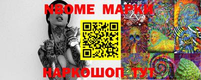 индика Камышлов