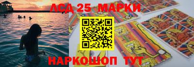 индика Камышлов