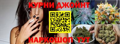 дурь Кингисепп
