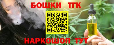 индика Камышлов