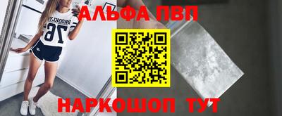 индика Камышлов